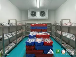 Teknologi Refrigerasi dalam Cold Storage untuk Industri Seafood